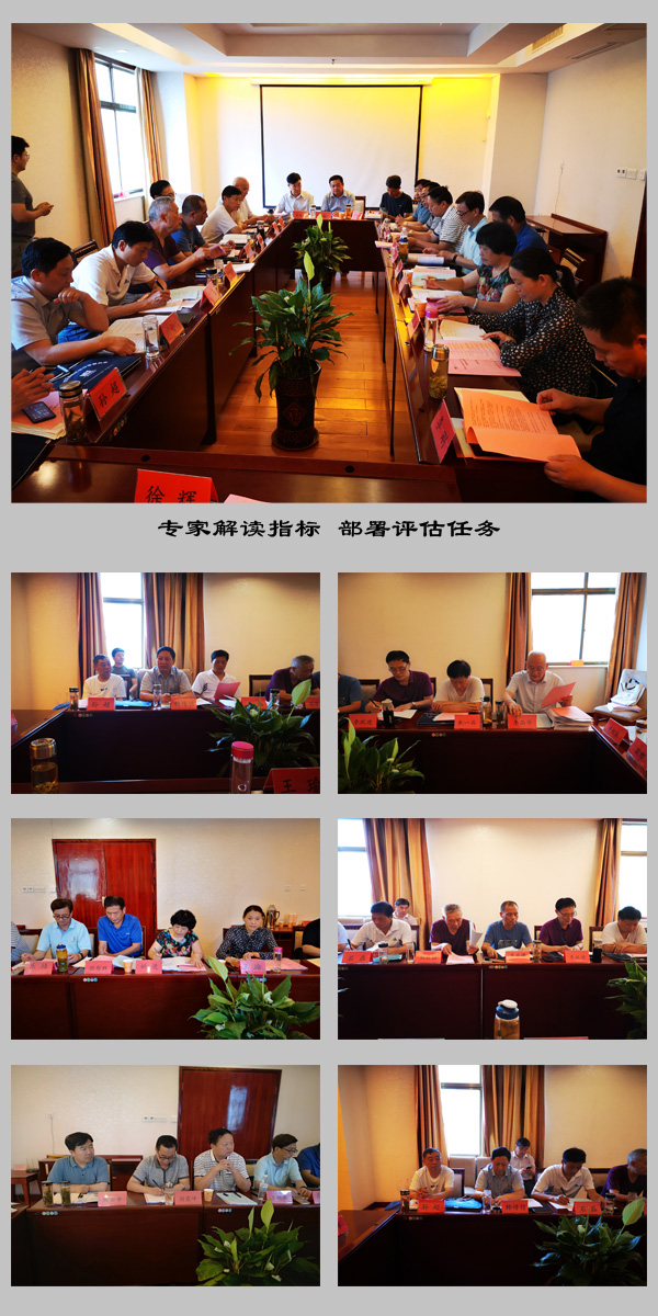 太和评估专家组开会.jpg